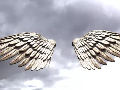 Serafim Wings 3 3D model
