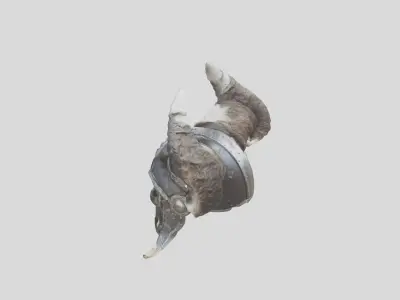 Horned Enig Helm Low-poly 3D model