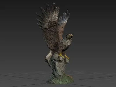 Eagle Scanned Free 3D model