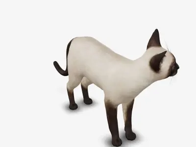 cat Siamese 3D model