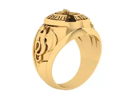 US AIR FORCE RING  MILITARY INSPIRED JEWELRY DESIGN 3D print model
