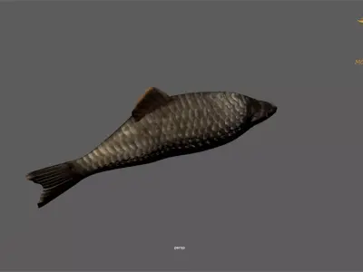 Animated Carp Fish - Loop Animation Low-poly 3D model Low-poly 3D model