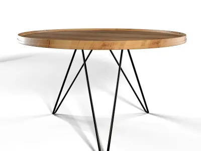 Circle Table 3D model