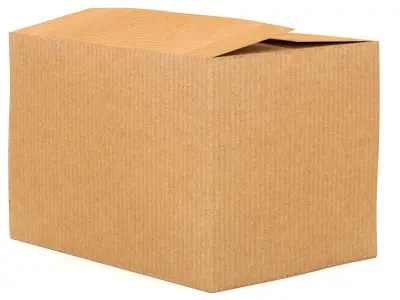 Cardboard Box 01 3D model