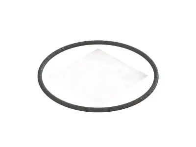 O Ring Vedabras 12809 3D model