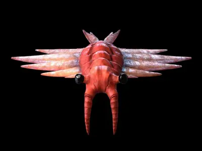 Anomalocaris Canadensis Static 3D model purchase
