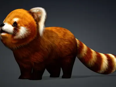 Red Panda A1 Free low-poly 3D model