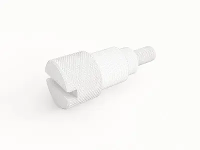 Screw 25 3D model