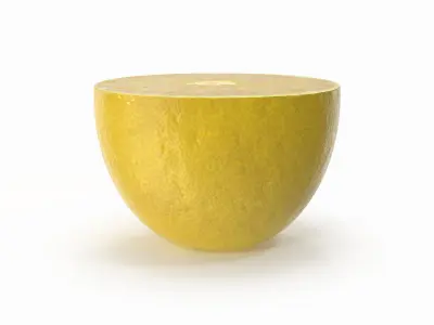  Lemon Slice(1)  purchase