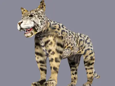 Spotted Jaguar Model 3D model