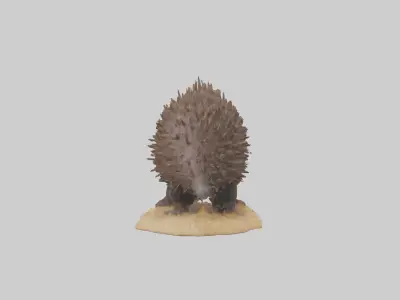 Echidna digging model 3D model