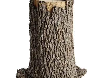  Medium Fresh Cut Deciduous Stump Model 