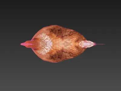 Hen  chicken Low-poly 3D model