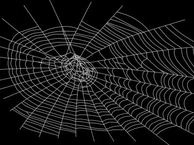 Spider Web 3D model