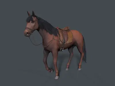 horse Low-poly 3D model 16