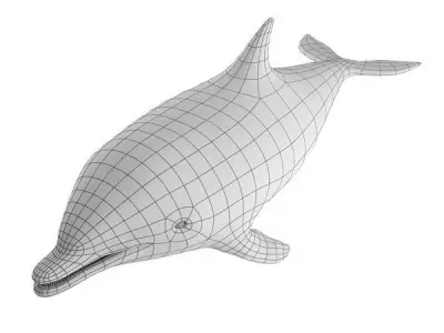 Dolphin Base Mesh Low-poly 3D model