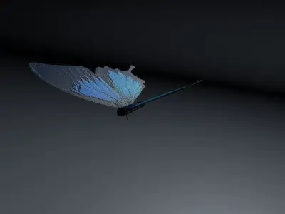 Blue Butterfly Low-poly 3D model
