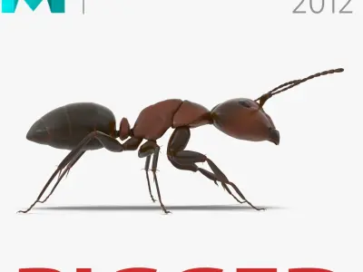 Red Ant Rigged for Maya 3D model