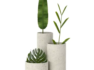 indoor plant set 01 Free 3D model