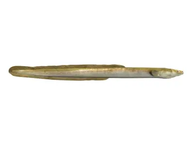 Eel Fish 3D model purchase
