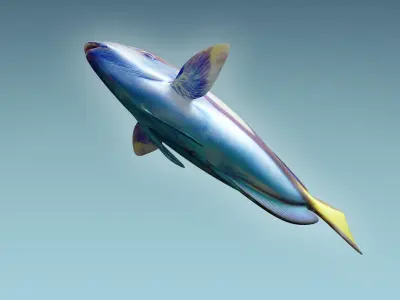 Dorry fish flying in sky 3D model