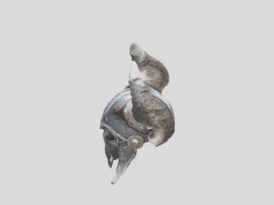 Horned Enig Helm Low-poly 3D model