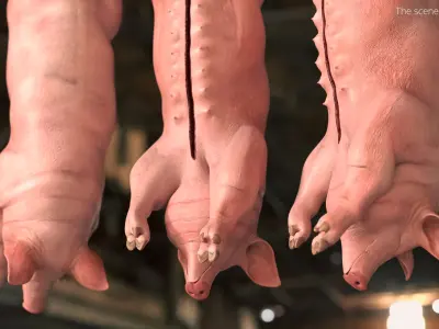 Slaughtered Pig Carcass Hanging for Blender 3D model