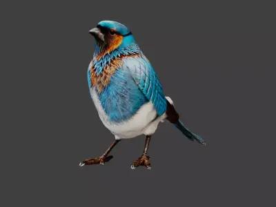 Bird Animal Low-poly 3D model