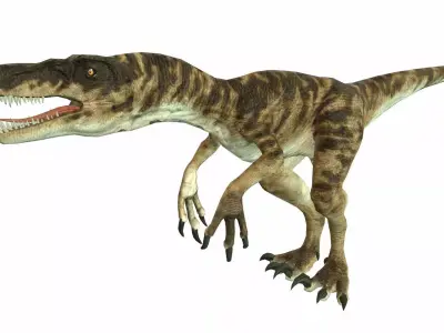 Raptor Low-poly 3D model