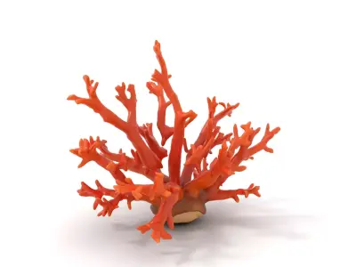 Vibrant Coral Reef model pack Low-poly 3D model