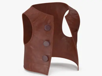Cartoon Vest Brown 3D model