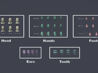 Human Parts Collection Low-poly 3D model