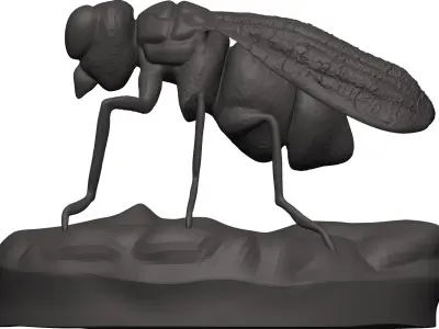 Fly-Fly fly 3D model