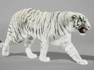 Tigers- White and Bengal - UNREAL PROJECTS 3D model