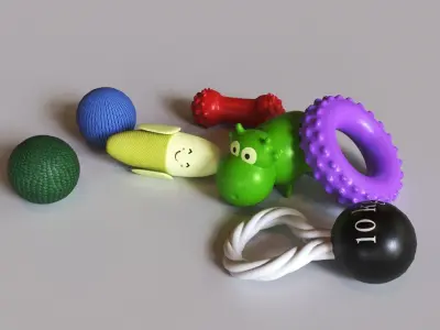 Dog Toys Low-poly 3D model
