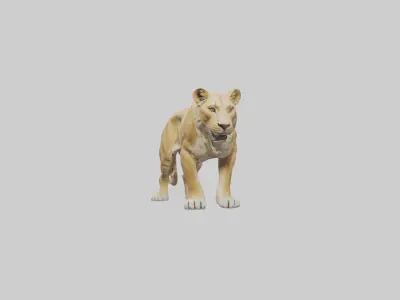 Lioness hunting model Low-poly 3D model