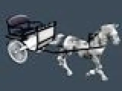 Horse Carriage 3D model get