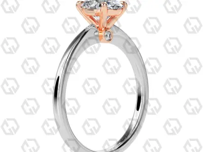 Ring 156 Oval shape with hidden signature diamond both side 3D print model
