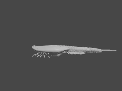 triops sea creature 3D model