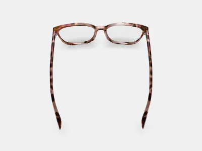 Esme Eyeglasses in Sesame Tortoise Low-poly 3D model