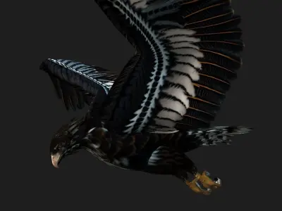 Eagle A4 3D model