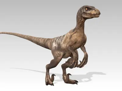 Velociraptor Low-poly 3D model 3