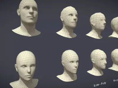 Base Mesh Pack - Head Low-poly 3D model