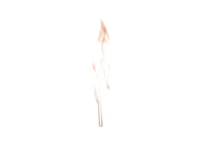 Feathers v1 012 Low-poly 3D model