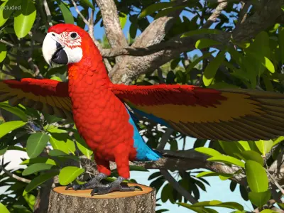 Red and Green Macaw Parrot Rigged 3D model