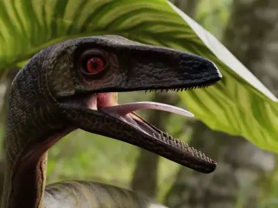 Compsognathus Free 3D model