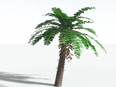 EVERYPlant Pseudoctnis Cycad LowPoly 4 --12 Models-- Low-poly 3D model