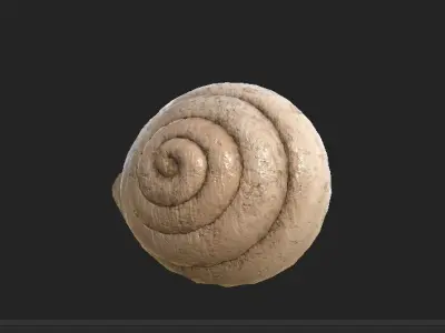 shell 3D model