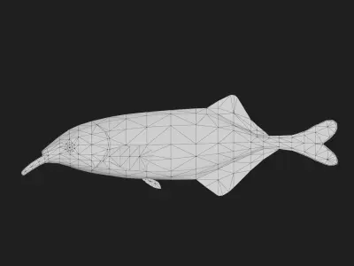 Elephant fish Low-poly 3D model