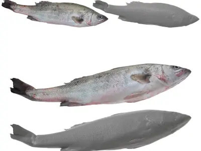 Seafood Shops Pack 02 3D model
